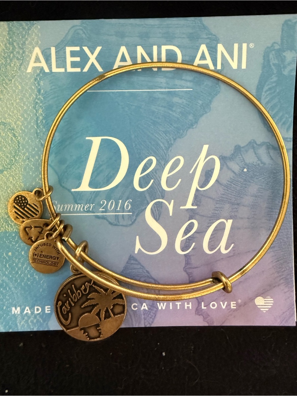 Alex and Ani Gold Caribbean Charm Bangle